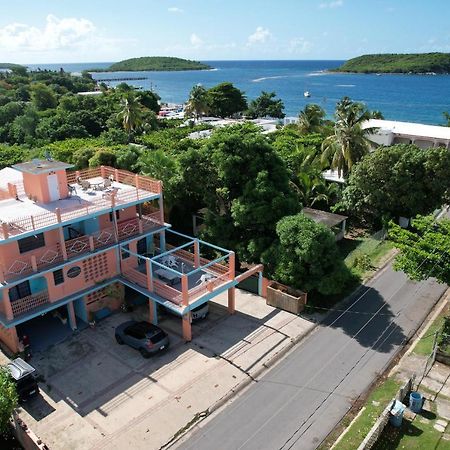 Esperanza Inn Guesthouse (Adults Only) Vieques Dış mekan fotoğraf