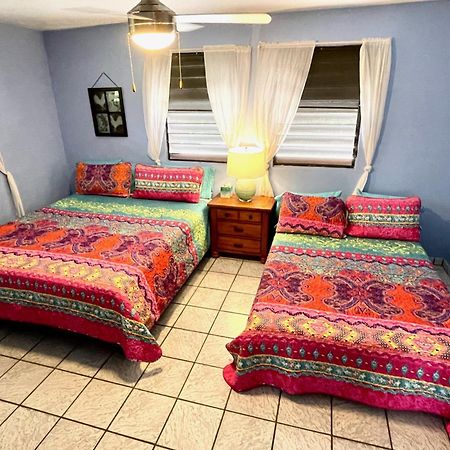 Esperanza Inn Guesthouse (Adults Only) Vieques Oda fotoğraf