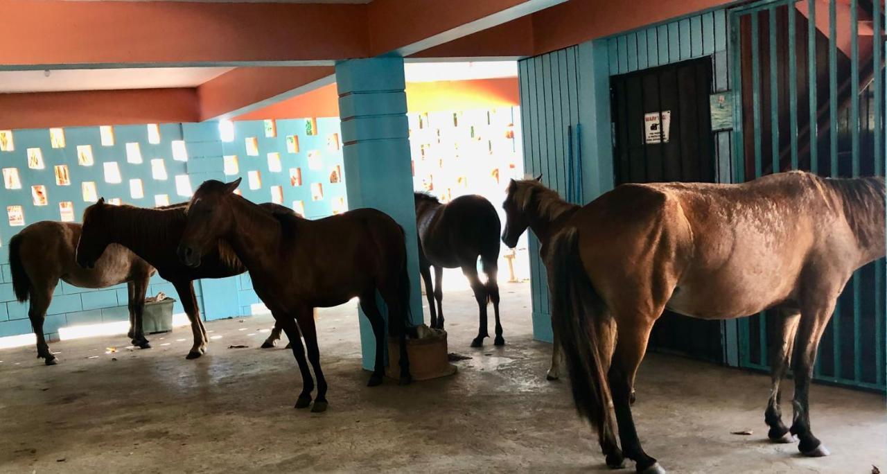 Esperanza Inn Guesthouse (Adults Only) Vieques Dış mekan fotoğraf