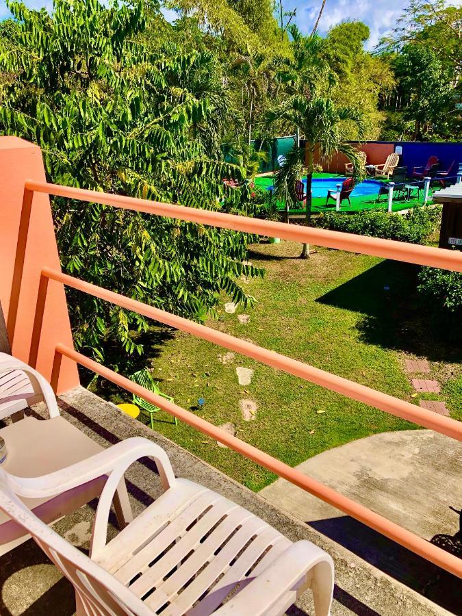 Esperanza Inn Guesthouse (Adults Only) Vieques Dış mekan fotoğraf