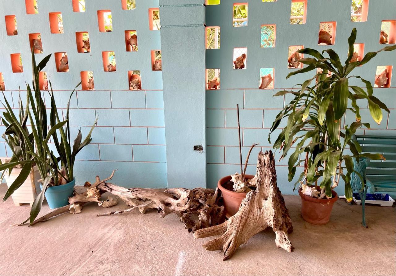 Esperanza Inn Guesthouse (Adults Only) Vieques Dış mekan fotoğraf