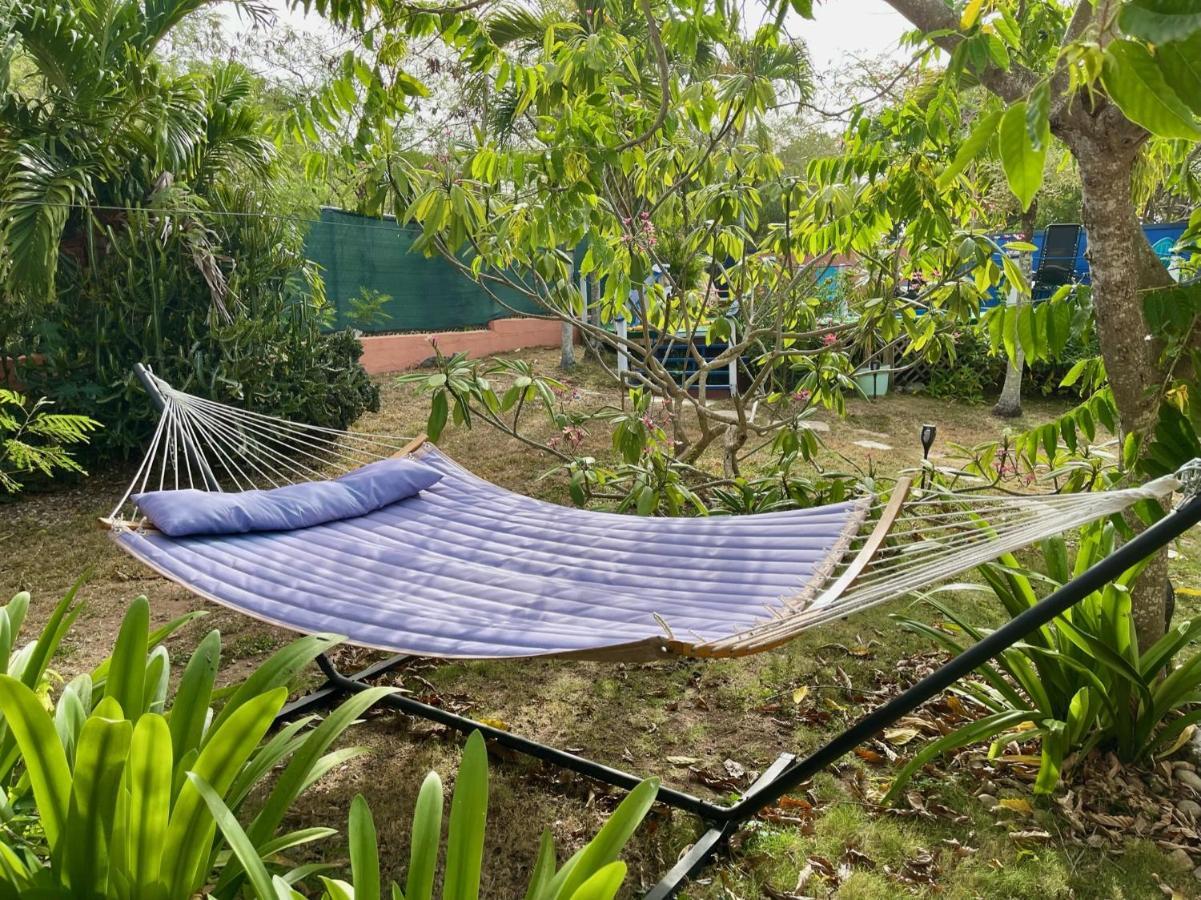 Esperanza Inn Guesthouse (Adults Only) Vieques Dış mekan fotoğraf