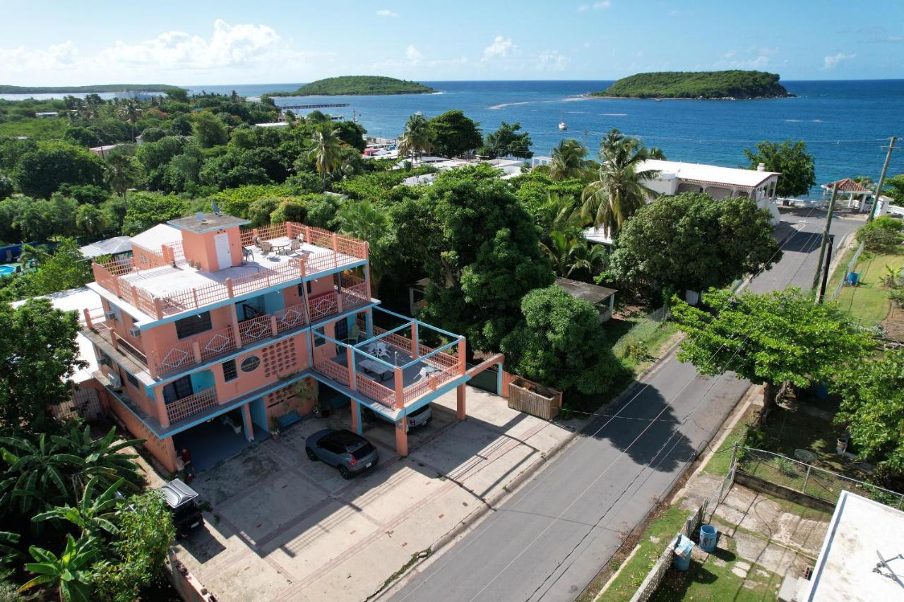 Esperanza Inn Guesthouse (Adults Only) Vieques Dış mekan fotoğraf