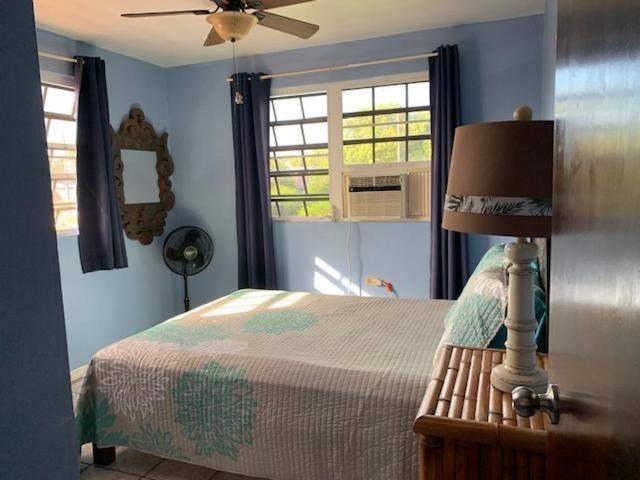 Esperanza Inn Guesthouse (Adults Only) Vieques Dış mekan fotoğraf