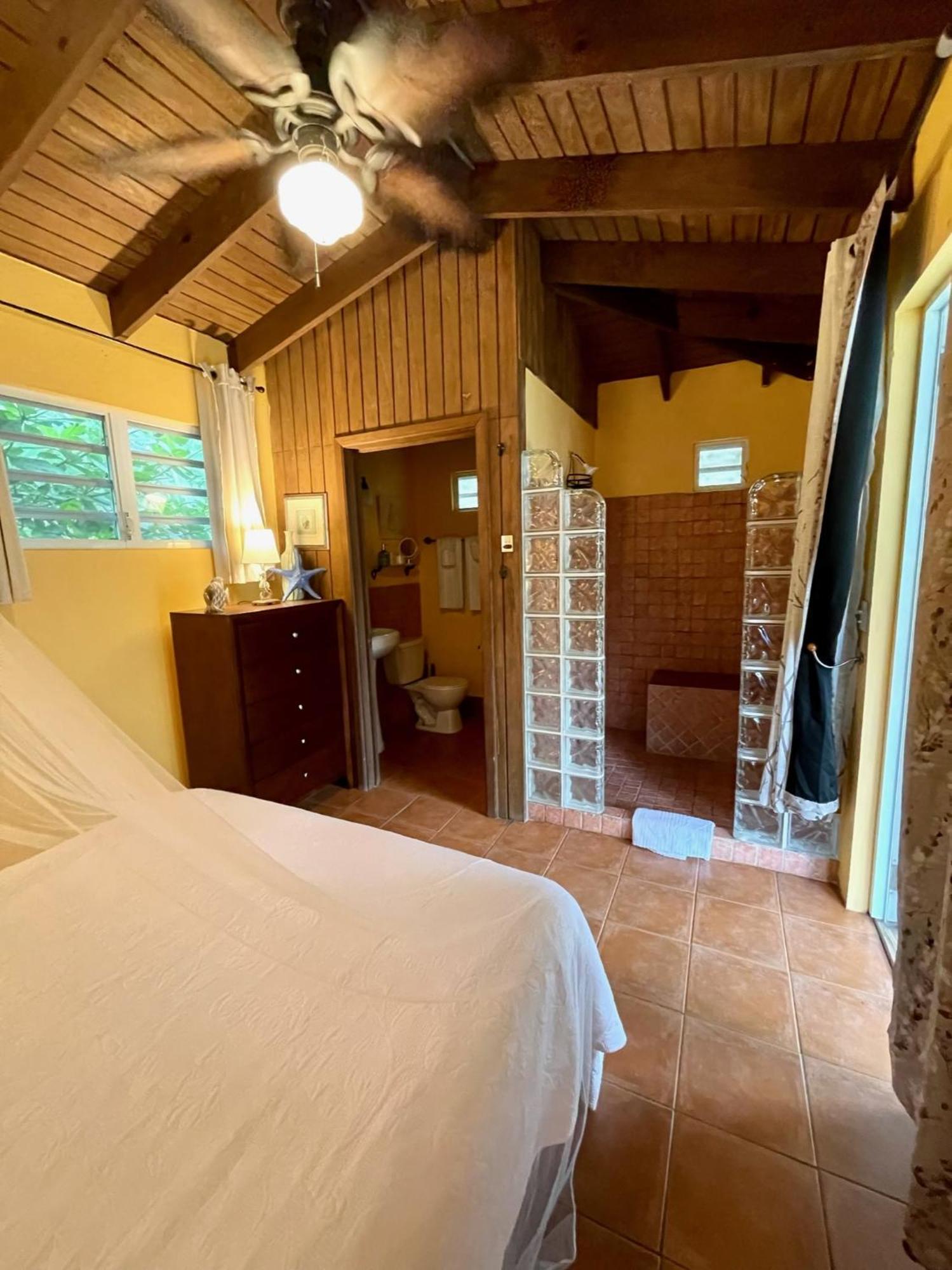 Esperanza Inn Guesthouse (Adults Only) Vieques Oda fotoğraf