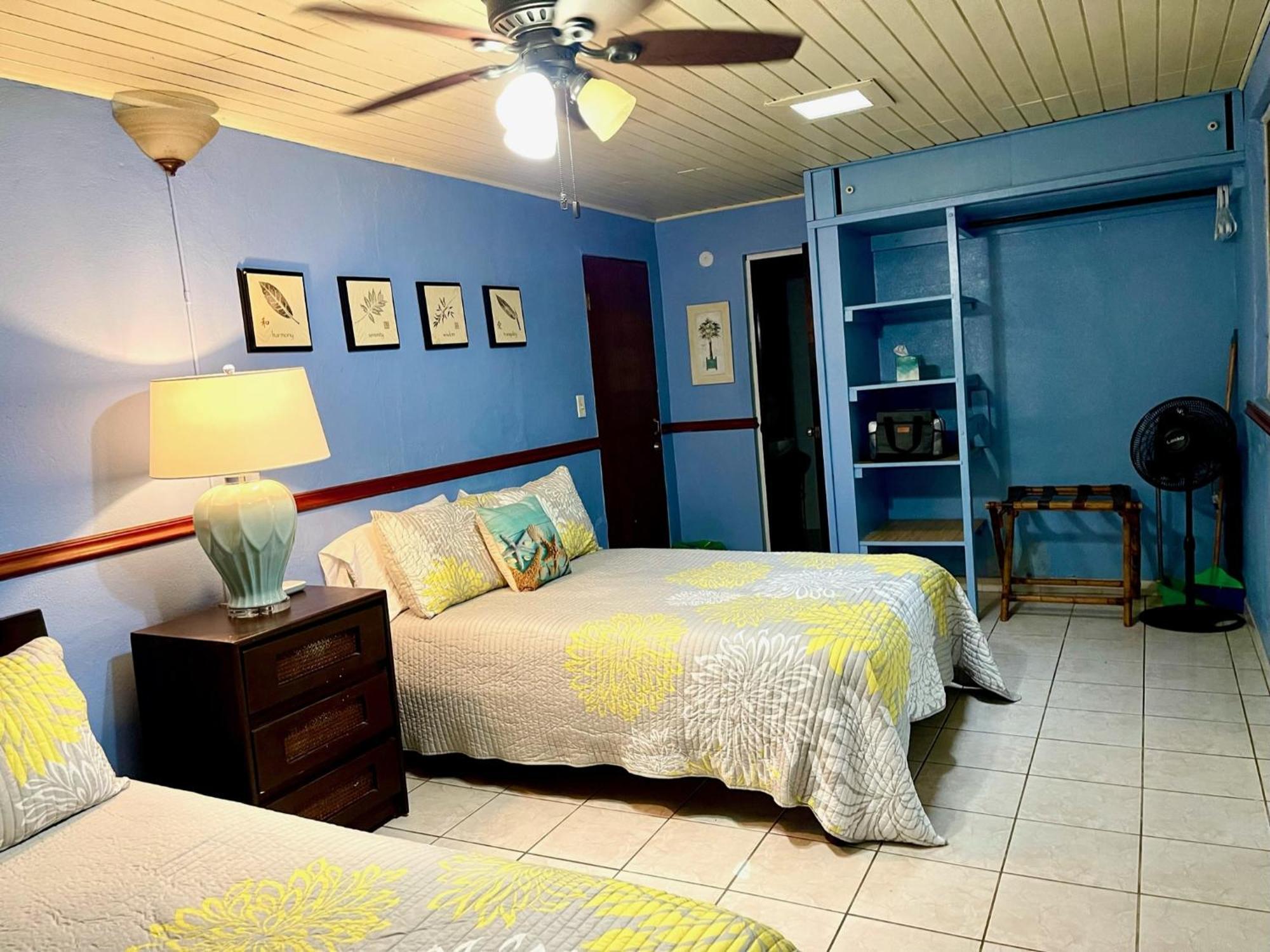 Esperanza Inn Guesthouse (Adults Only) Vieques Oda fotoğraf