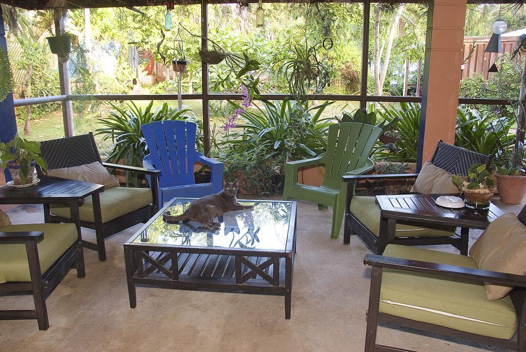 Esperanza Inn Guesthouse (Adults Only) Vieques Dış mekan fotoğraf
