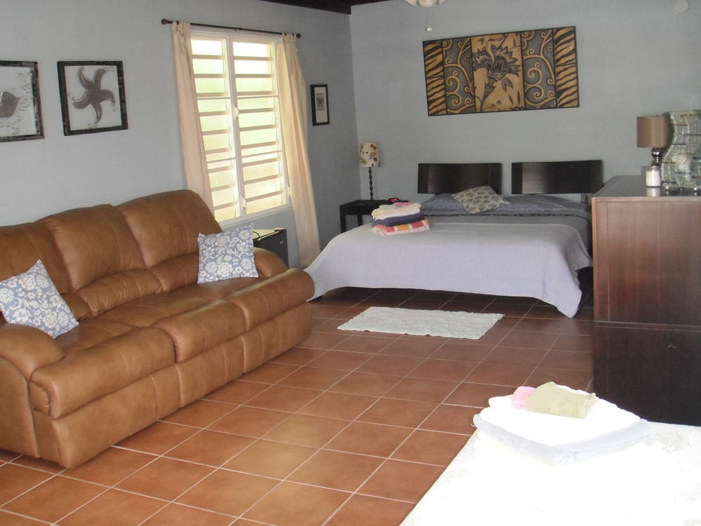 Esperanza Inn Guesthouse (Adults Only) Vieques Dış mekan fotoğraf